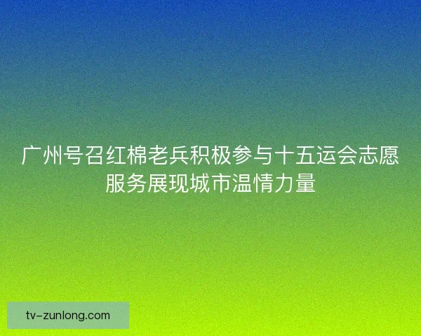 广州号召红棉老兵积极参与十五运会志愿服务展现城市温情力量