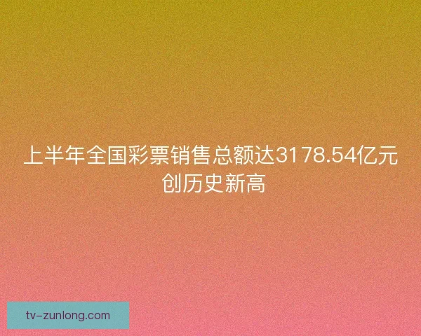 上半年全国彩票销售总额达3178.54亿元 创历史新高