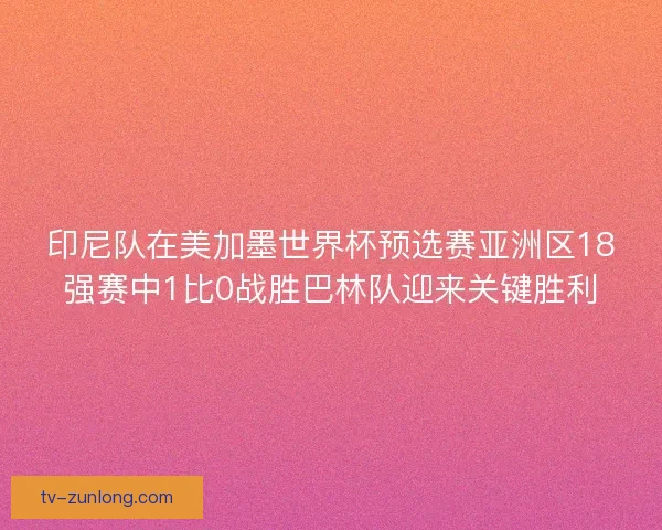 印尼队在美加墨世界杯预选赛亚洲区18强赛中1比0战胜巴林队迎来关键胜利